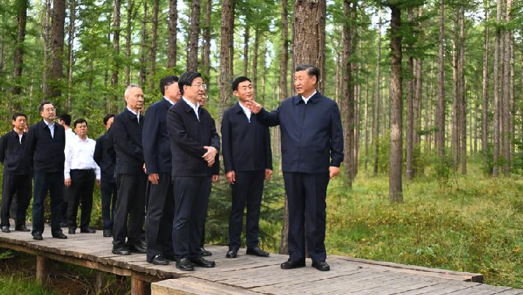 Xi Jinping Stresses Carrying Forward The Saihanba Spirit Cgtn