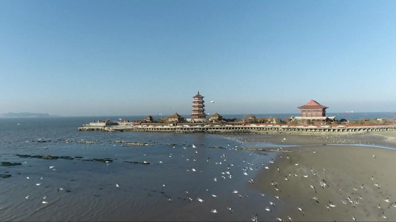 Spring Migration Season Flocks Of Birds Spotted Across China CGTN