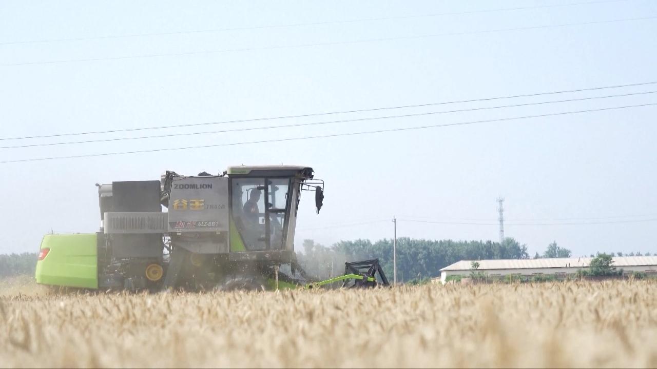 Farmers Get Busy With Wheat Harvest In Jiangsu Shandong CGTN