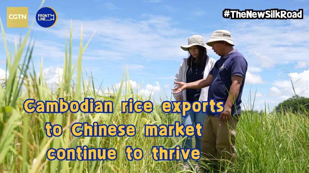 Cambodian Rice Exports To Chinese Market Continue To Thrive Cgtn