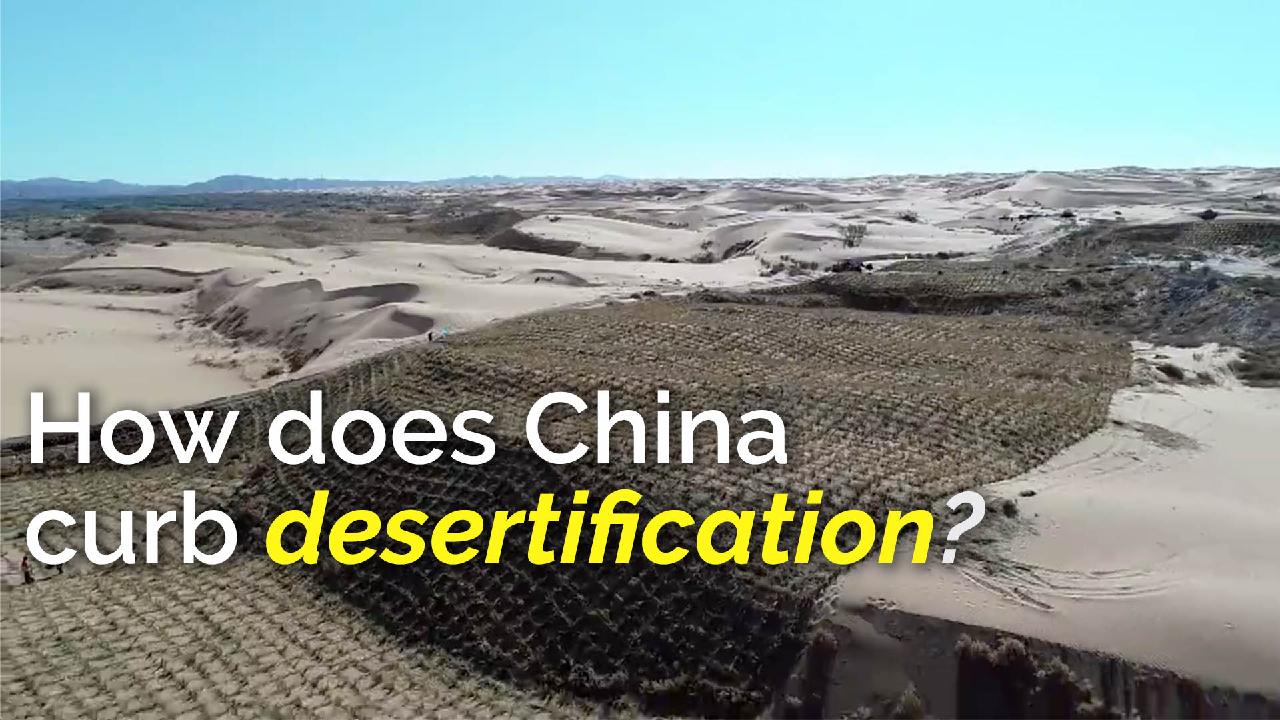 How Does China Curb Desertification? - CGTN