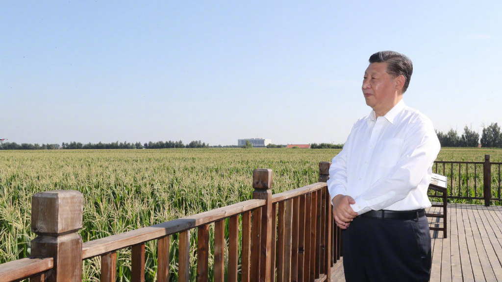 President Xi Jinping inspects NE China's Jilin Province