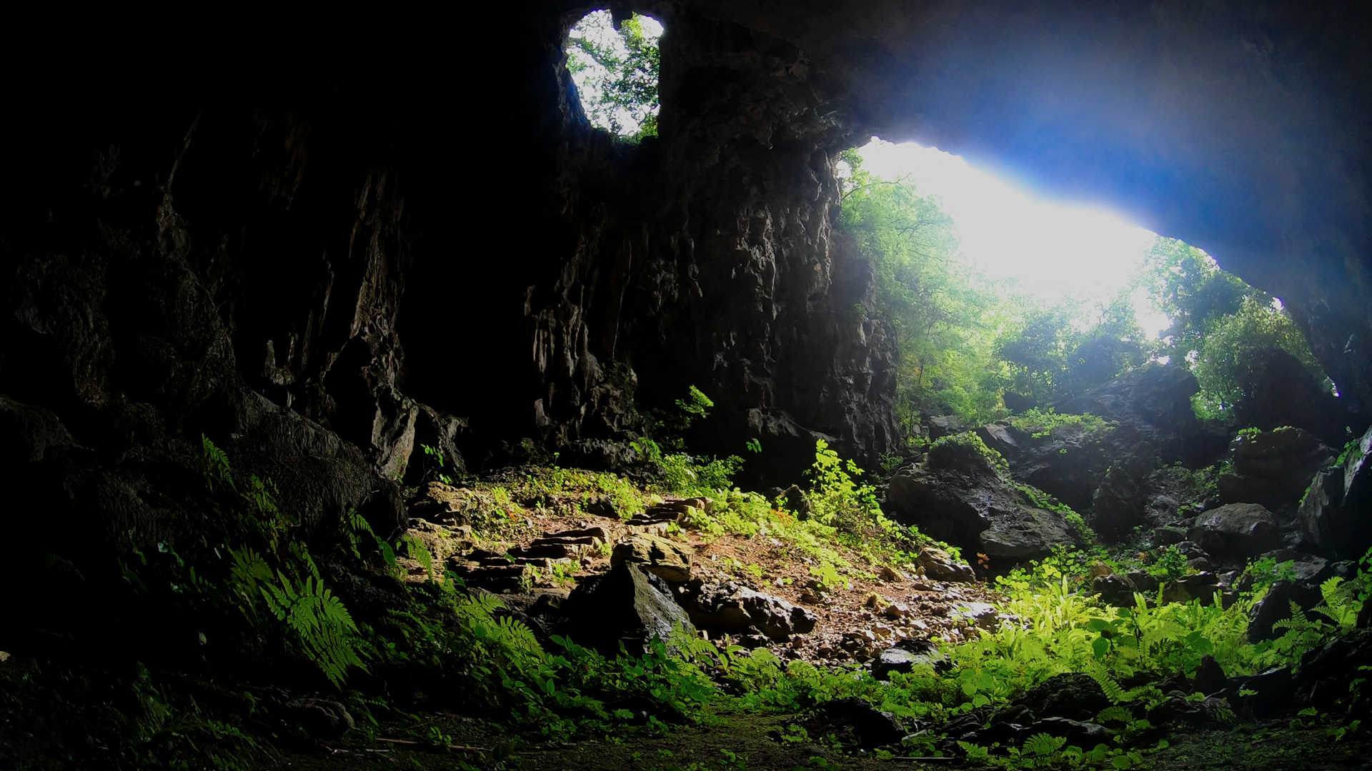 CGTN Nature: Karst Series | Life in Caves CGTN
