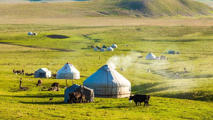 Xinjiang welcomes first tourist charter flight after COVID-19 outbreak ...