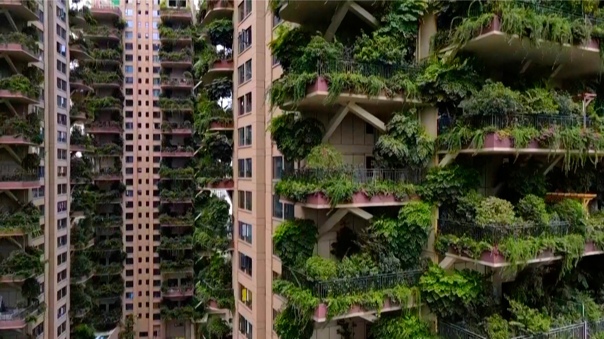 Plant Covered Chinese Apartment Buildings Cgtn