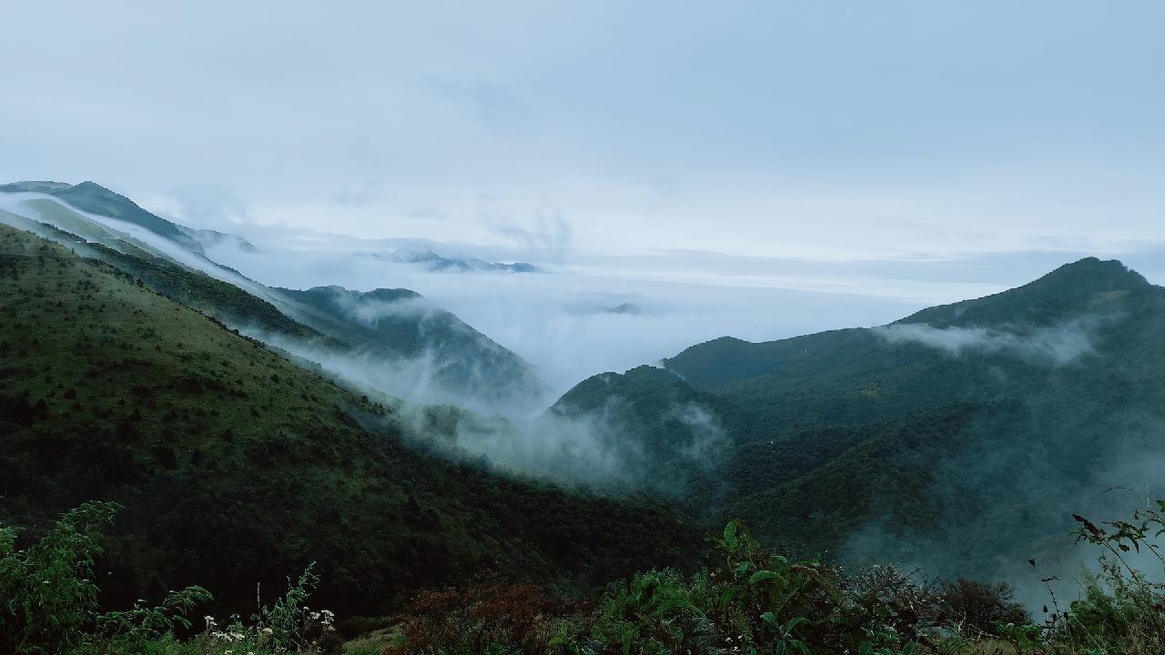 When Shennongjia puts on its veil of mist - CGTN