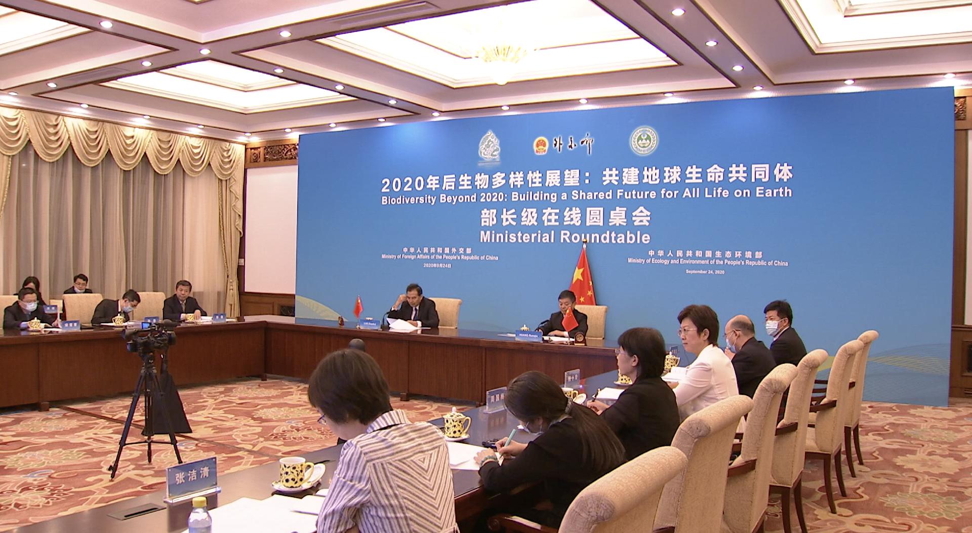 Un Praises China S Commitment To Carbon Neutral Future Cgtn