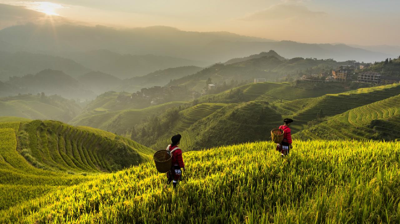 how-livelihoods-in-rural-china-have-improved-since-2015-cgtn