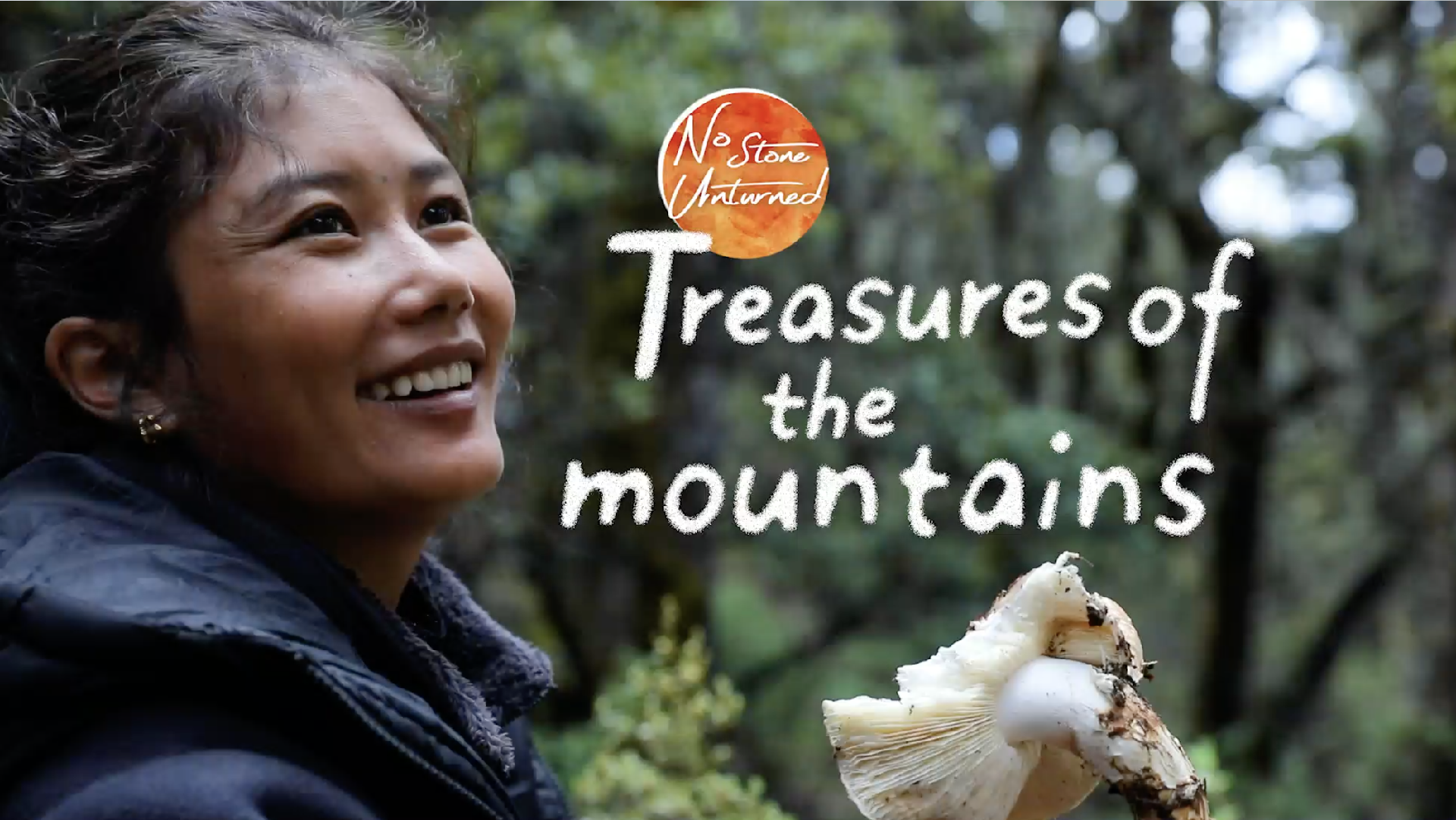 No Stone Unturned Ep. 5 Treasures of the mountains CGTN