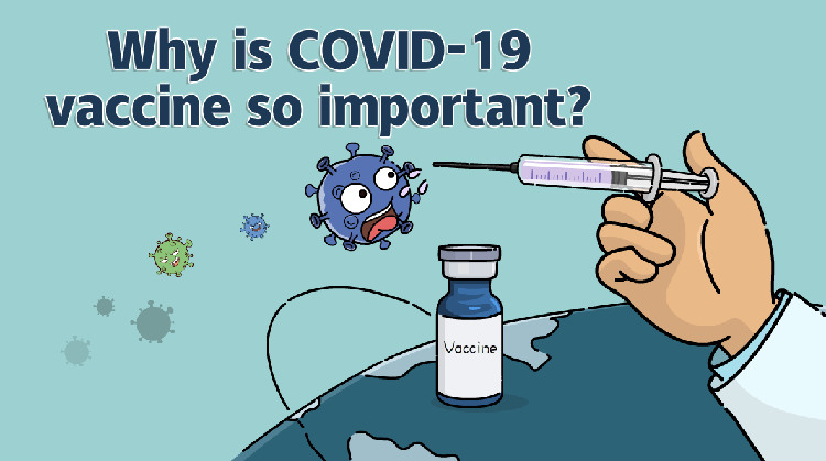 Animation: Why is COVID-19 vaccine so important? - CGTN