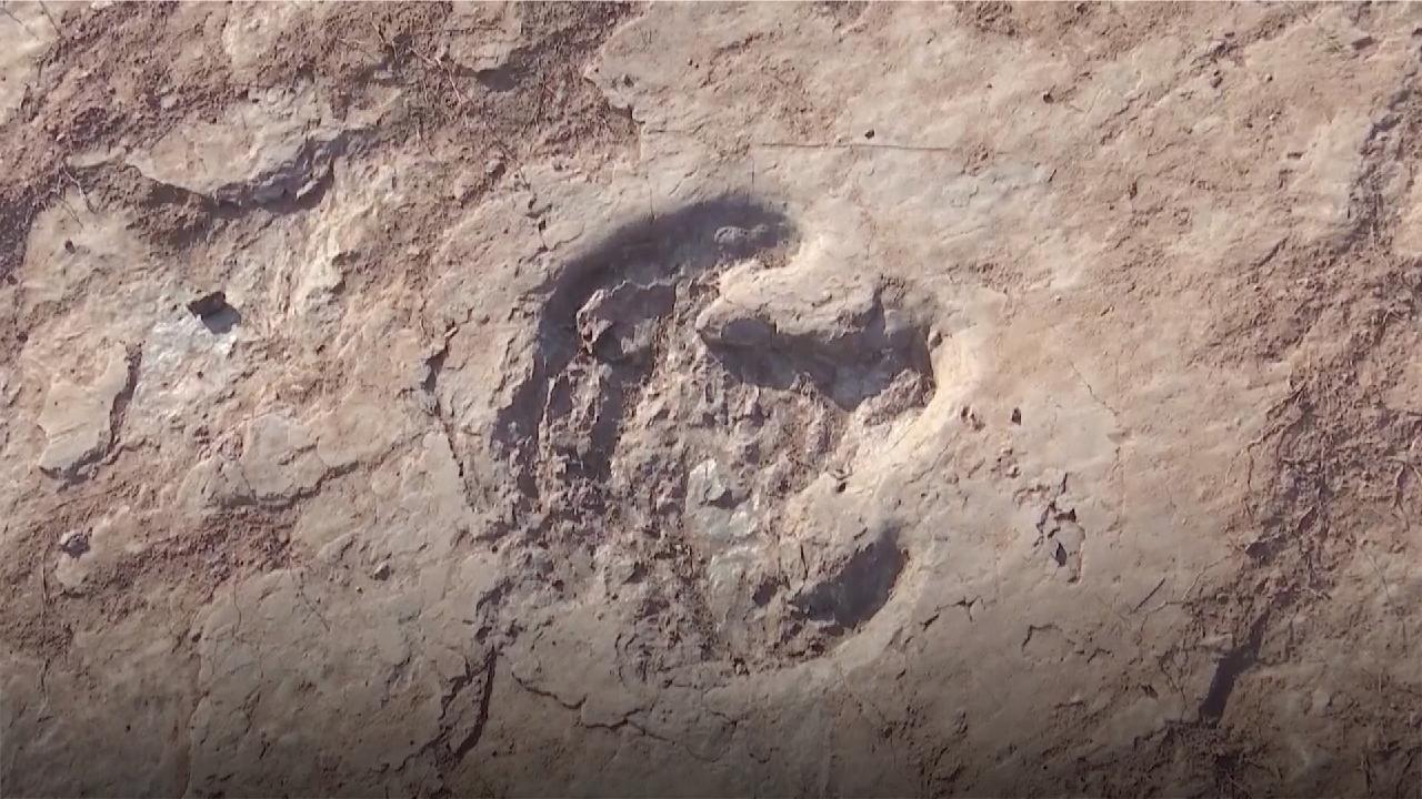 240 dinosaur footprints discovered for the first time in E China - CGTN