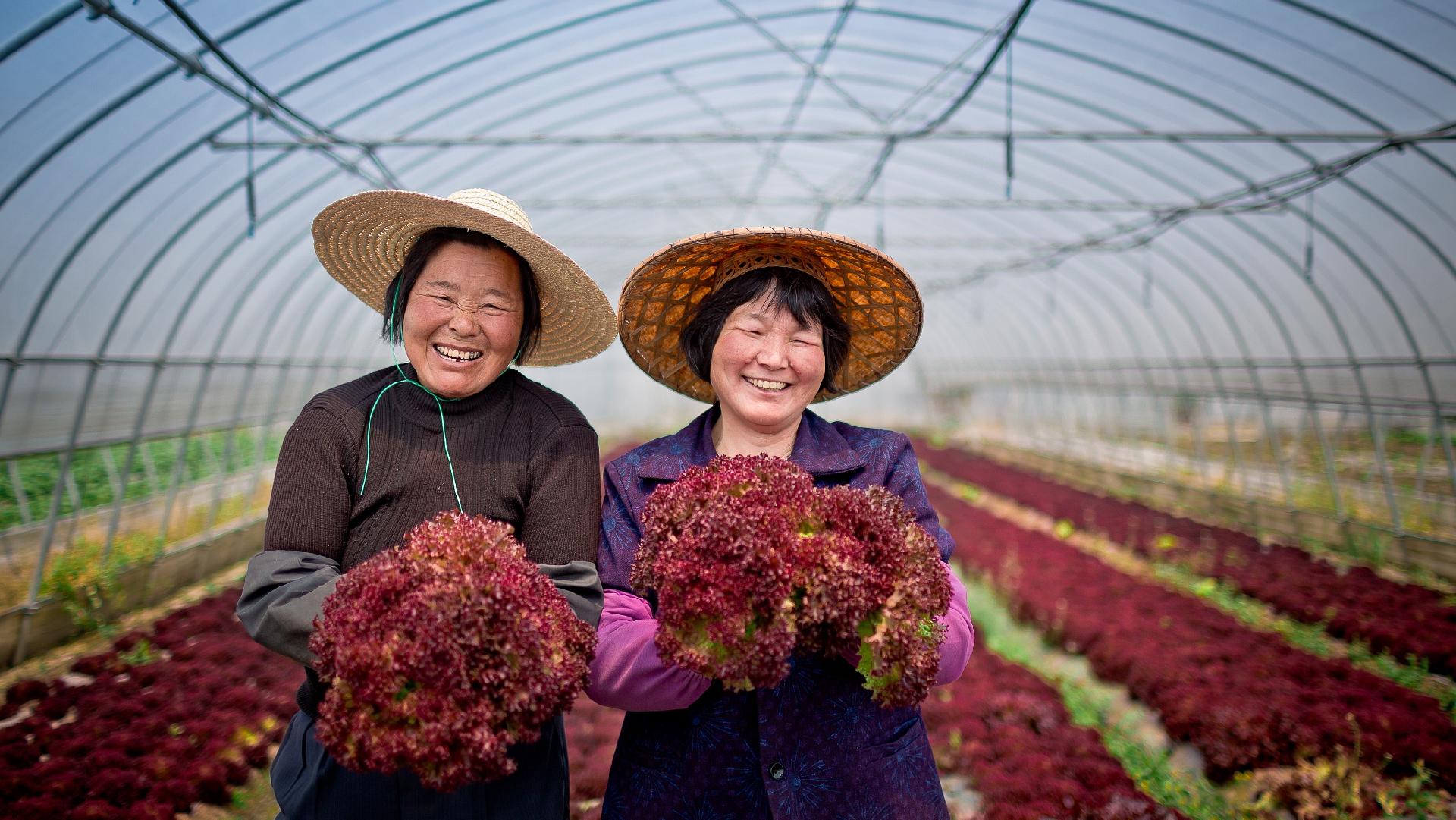 Highlight : China protects land rights of rural women - CGTN