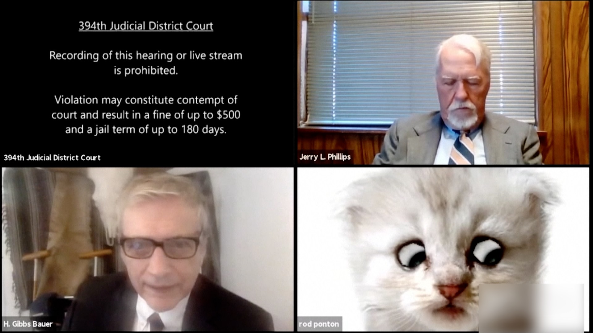 i-am-not-a-cat-lawyer-trapped-by-cat-filter-tells-the-judge-cgtn