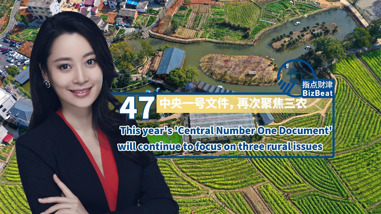 This year's 'Central No.1 Document' to focus on three rural issues - CGTN