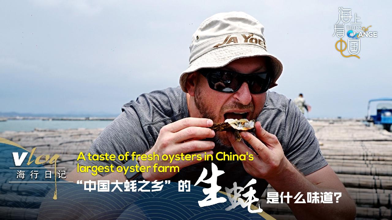 A taste of fresh oysters in China's largest oyster farm CGTN