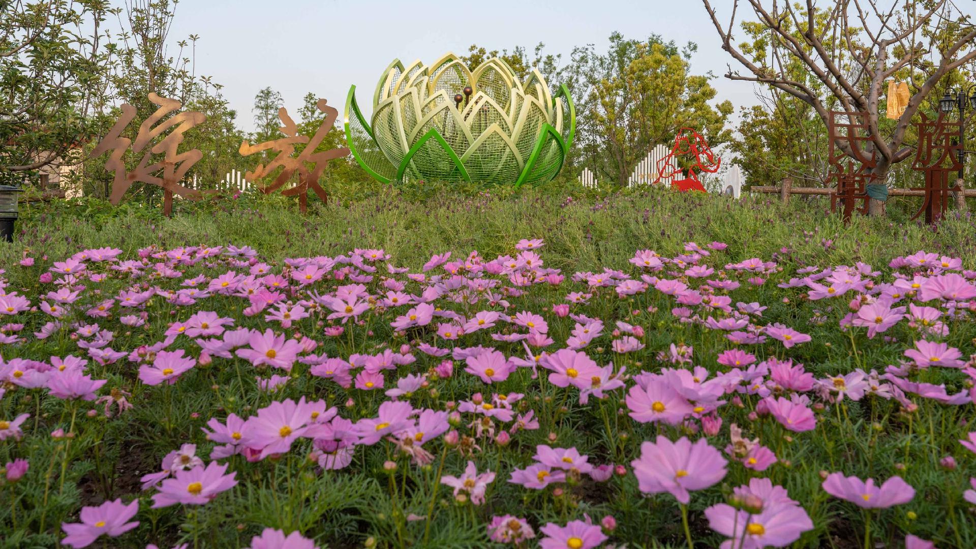 Flower producers find opportunities at China expo CGTN