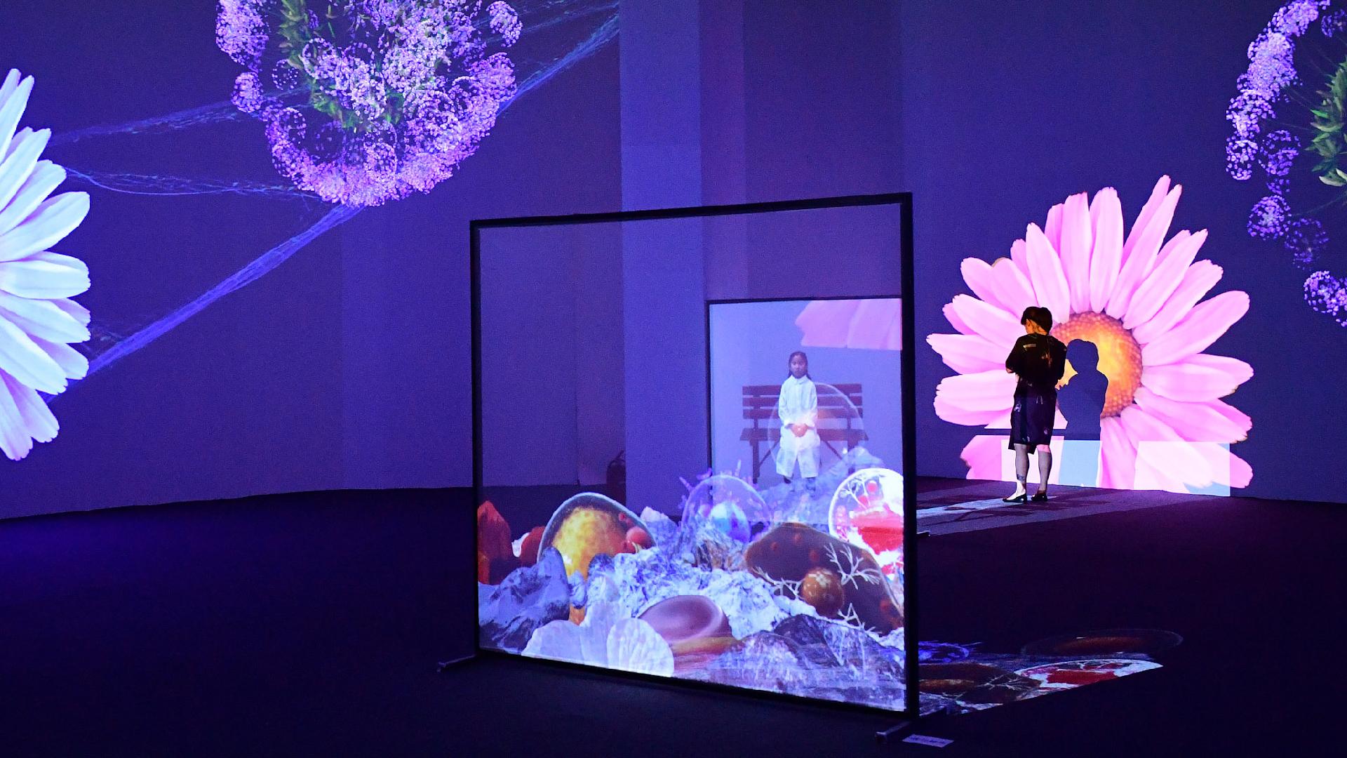 Beijing exhibition turns life science into art CGTN