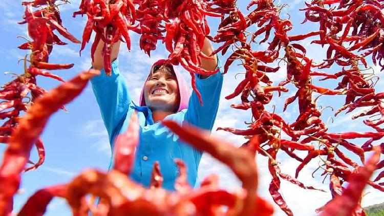 Successfully building moderately prosperous society in all respects CGTN