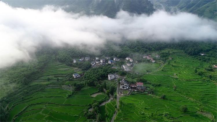 Fairy cloud and morning mist seen in E China's province - CGTN