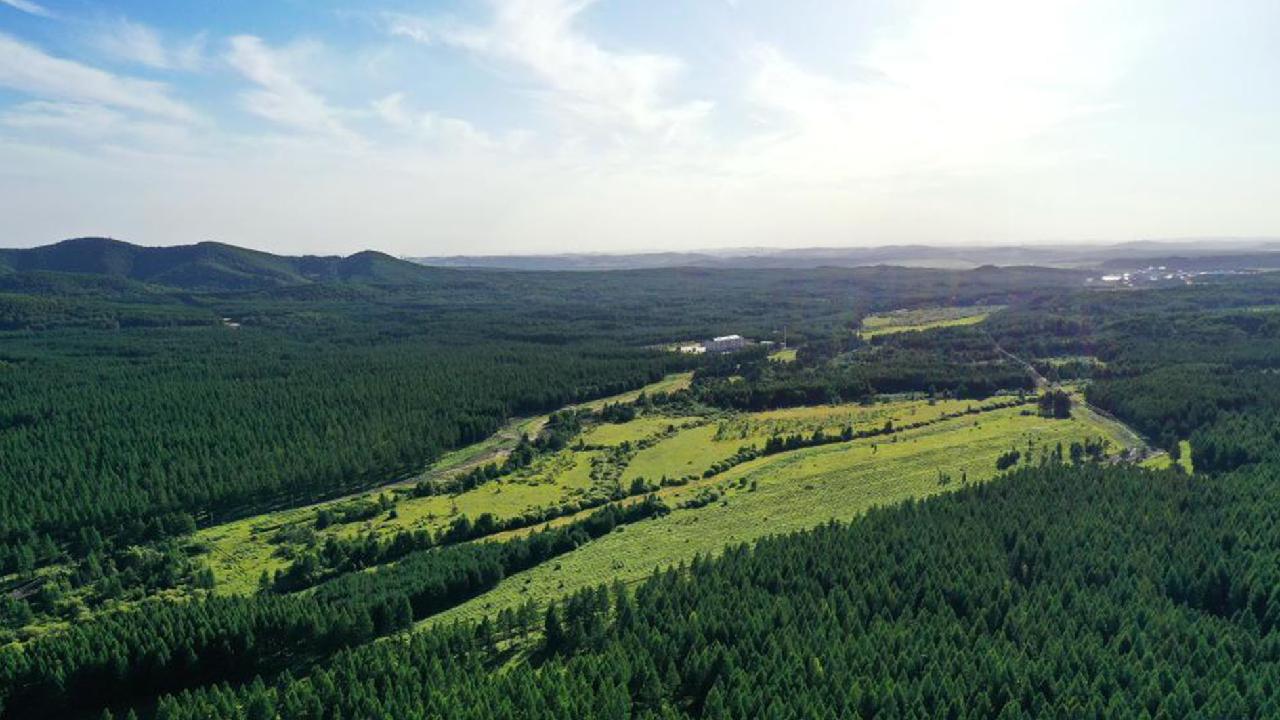 Generations Of Foresters In N China's Hebei Turn Wasteland Into Forest ...