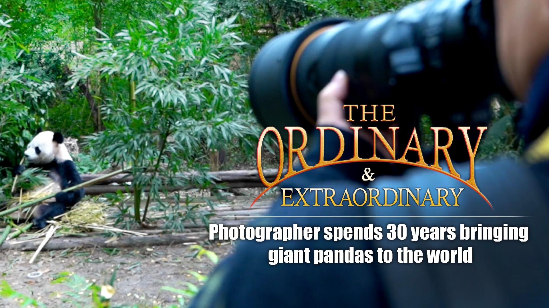 Photographer spends 30 years bringing giant pandas to the world CGTN