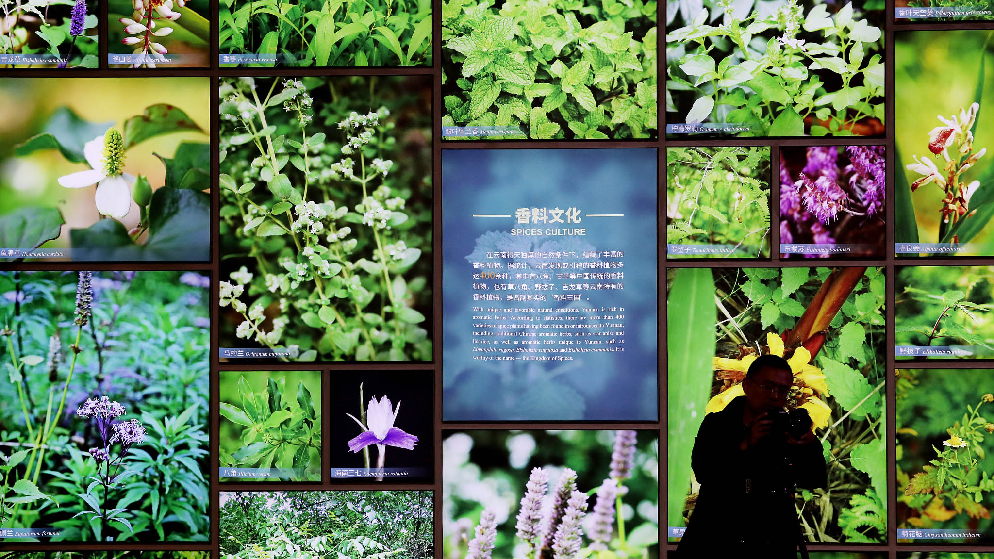 UNEP head: When biodiversity is under threat, so are people's lives 