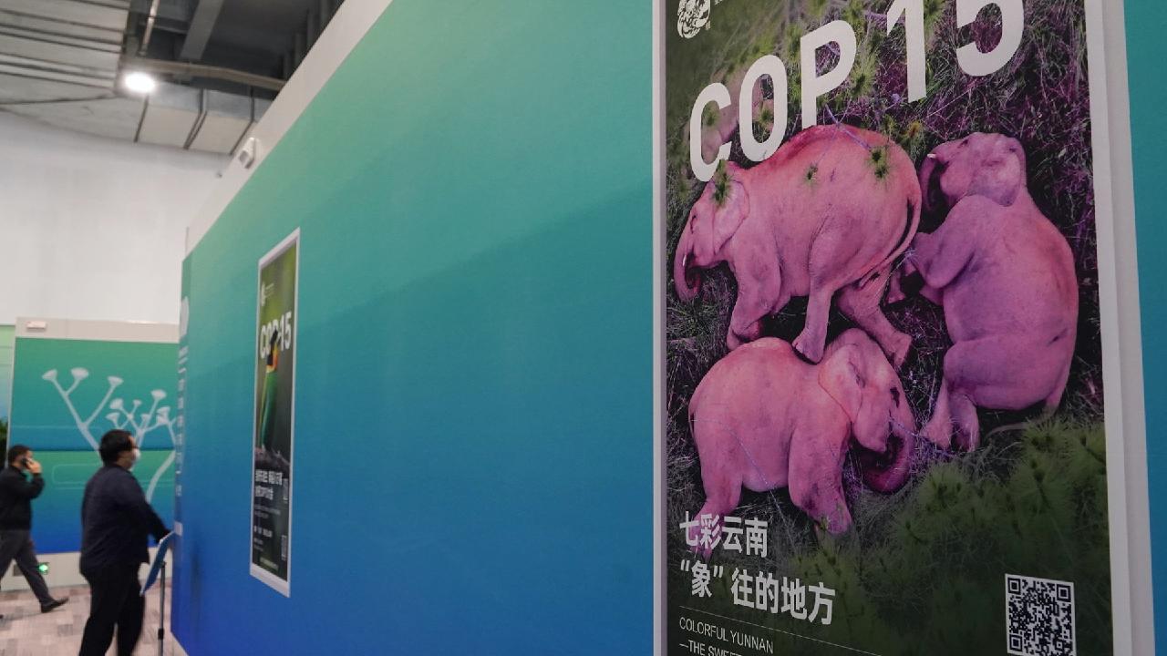 Expert China To Establish Protected Areas System For National Parks Cgtn Expert China To Establish Protected Areas System For National Parks Cgtn