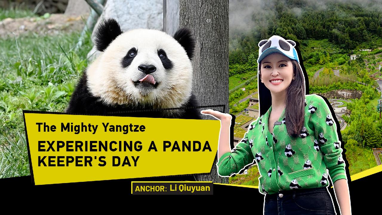 experiencing-a-panda-keeper-s-day-cgtn