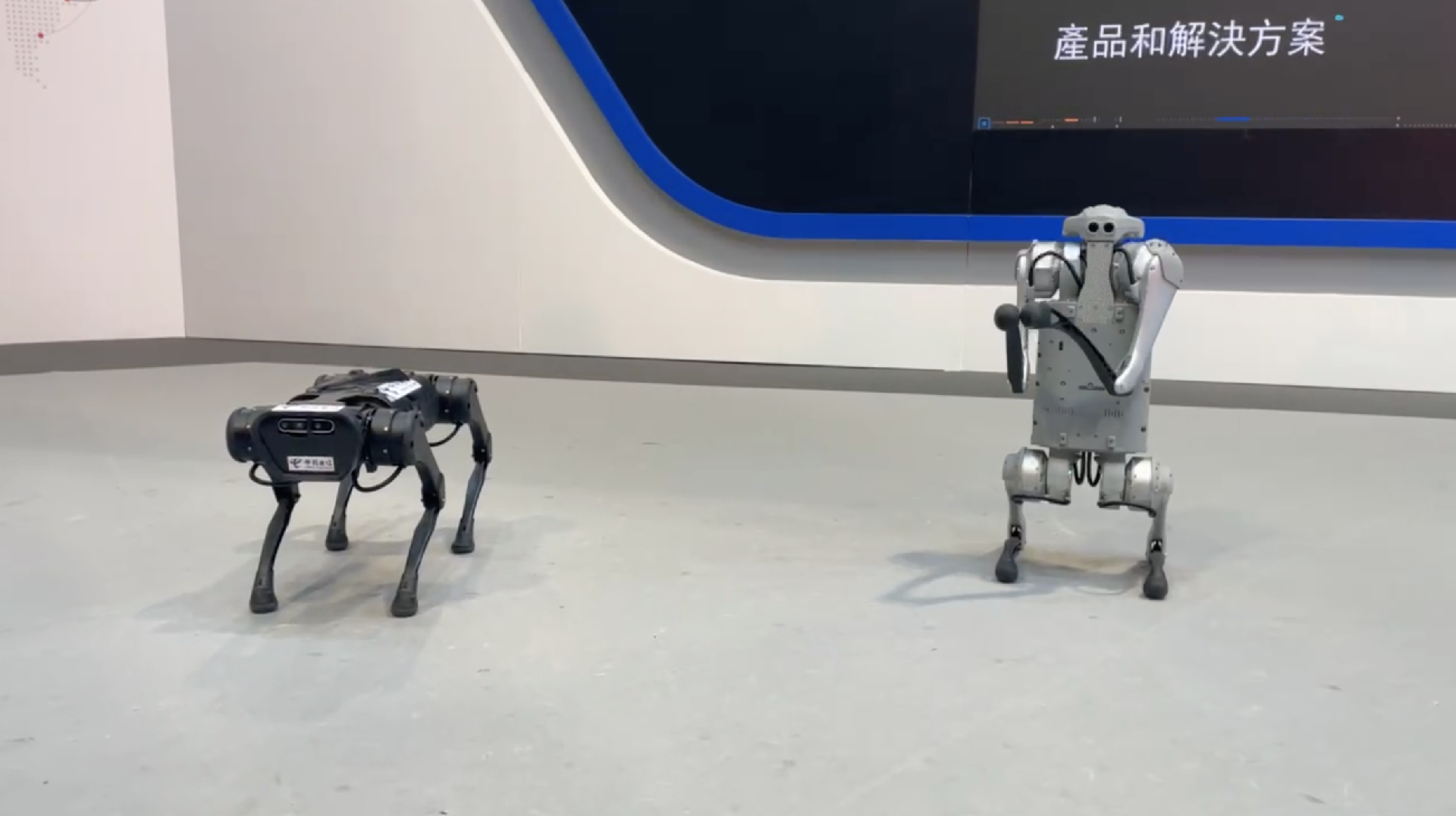 The new mechanical dog on display at the BEYOND Expo CGTN