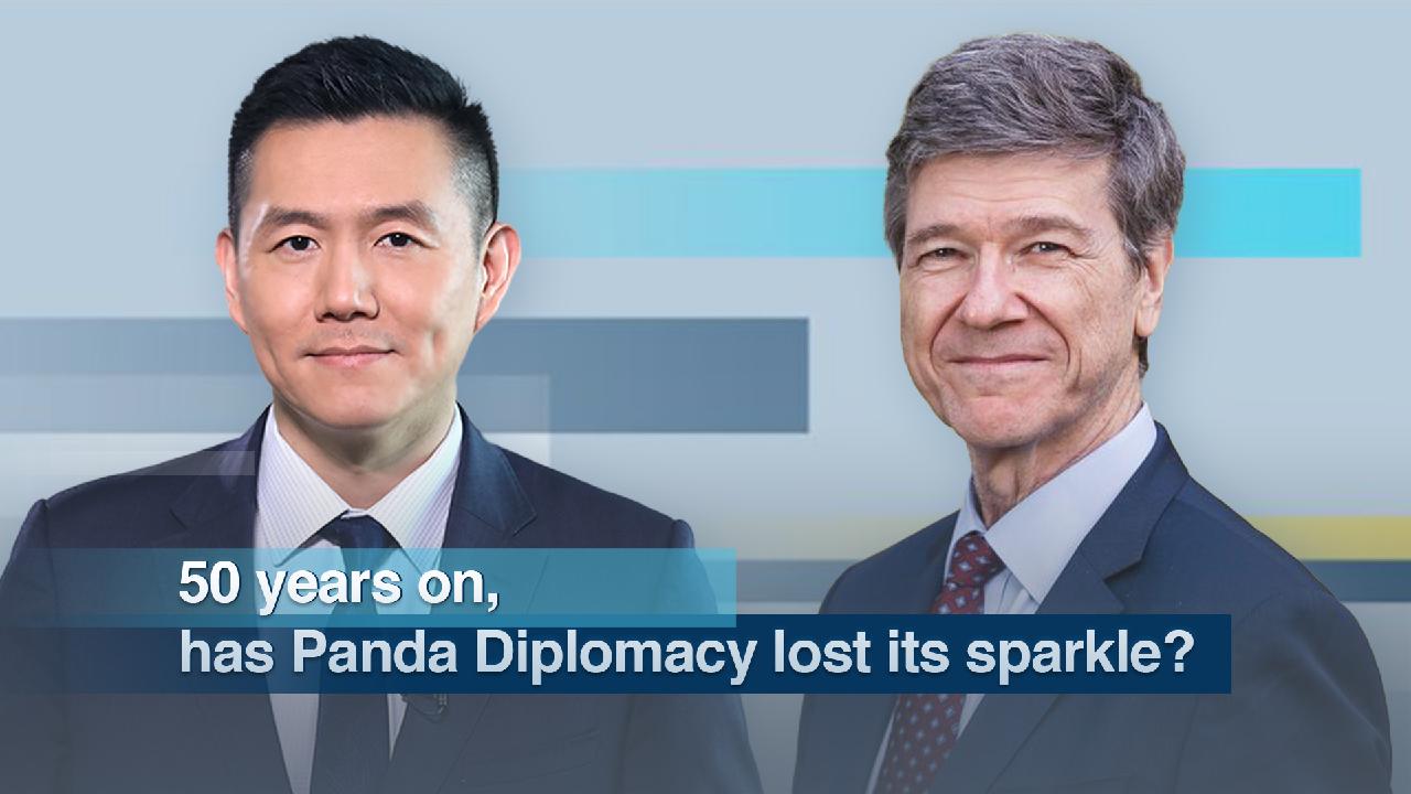 50 Years On Has China S Panda Diplomacy Lost Its Sparkle Cgtn 50 Years On Has China S Panda Diplomacy Lost Its Sparkle Cgtn