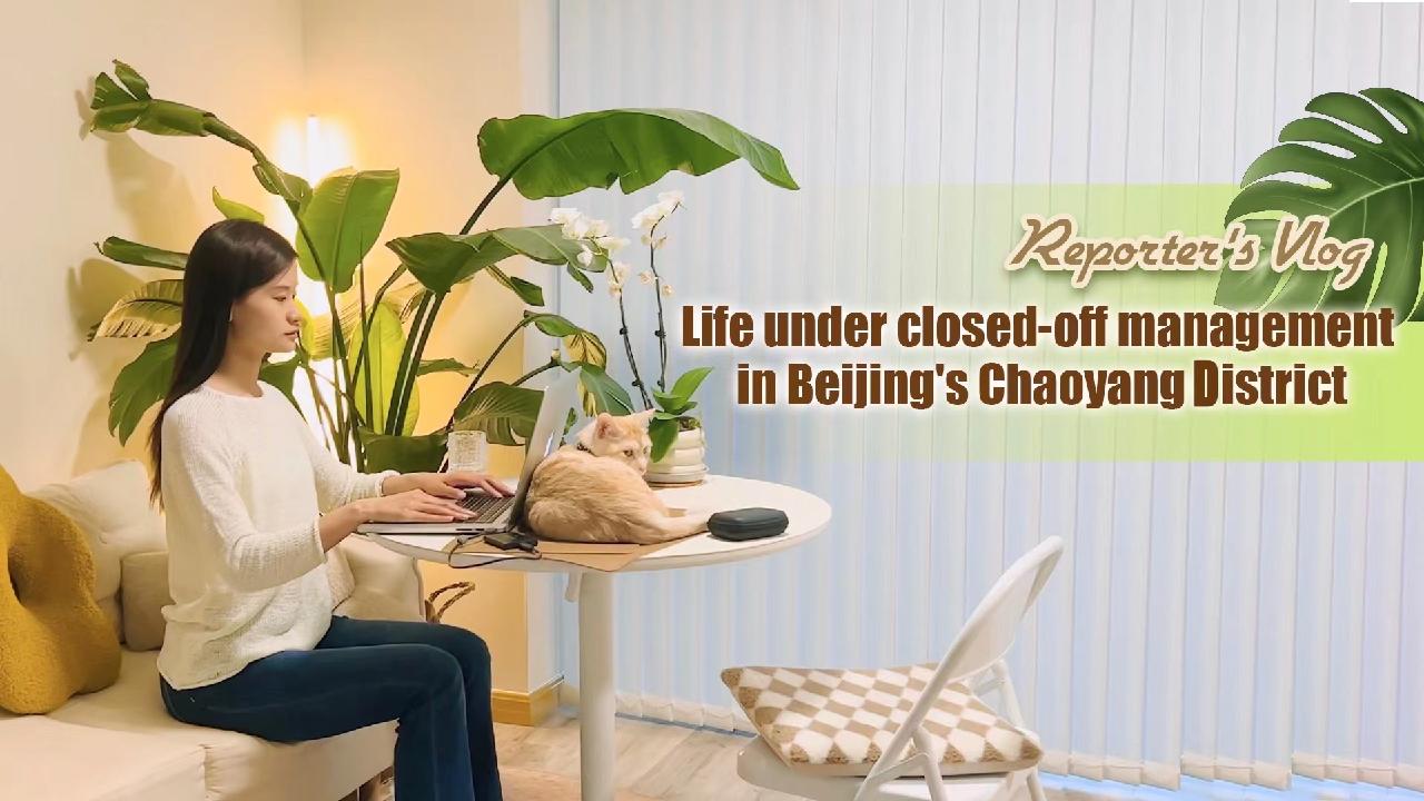 Vlog: Life Under Closed-off Management In Beijing's Chaoyang District ...