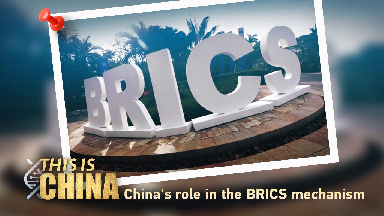 WHAT IS CHINA S ROLE IN THE BRICS visual data 7