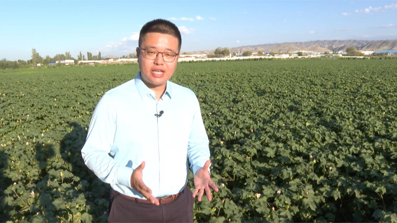 Cgtn Reporter Visits Shihezi After President Xi S Inspection Tour Cgtn Cgtn Reporter Visits Shihezi After President Xi S Inspection Tour Cgtn