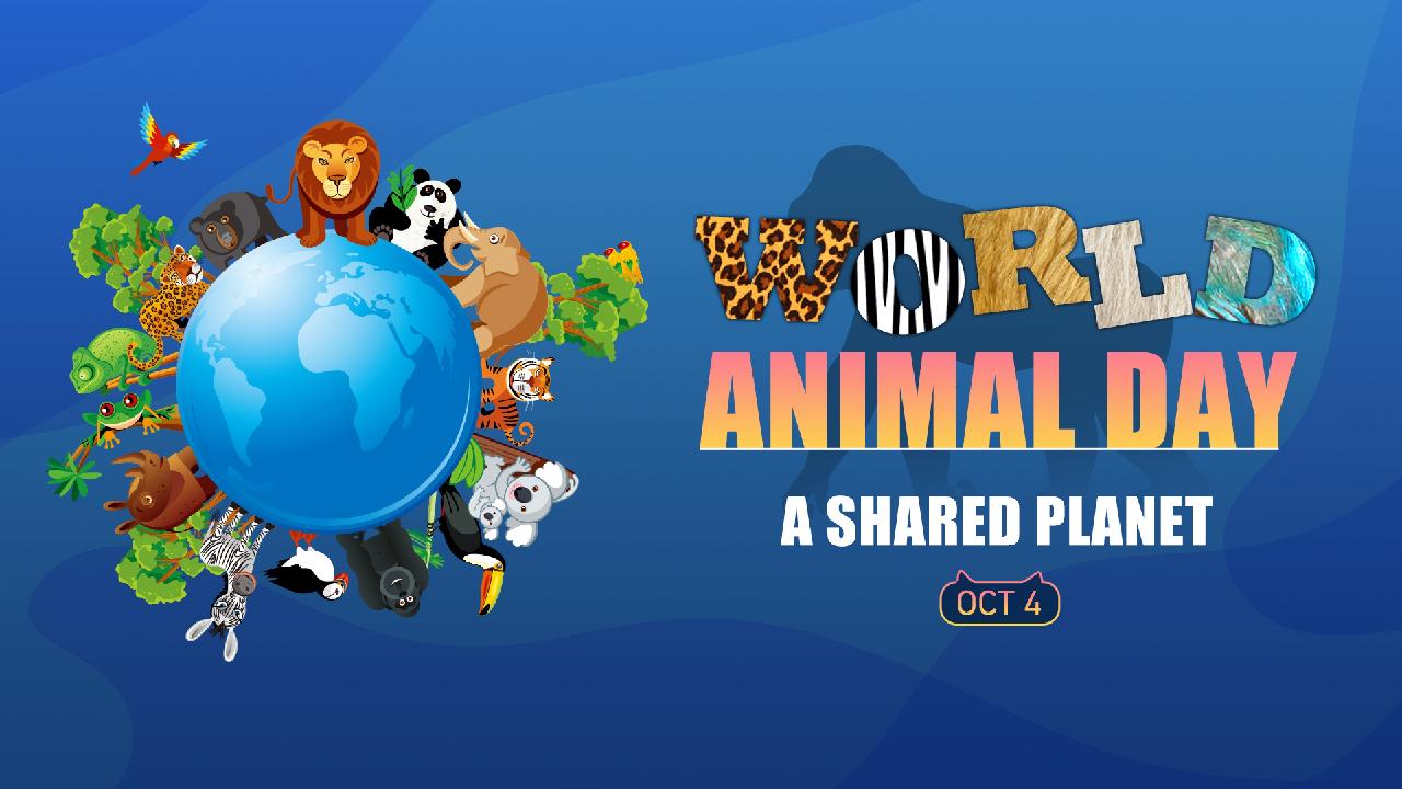 World Animal Day: A Shared Planet - CGTN