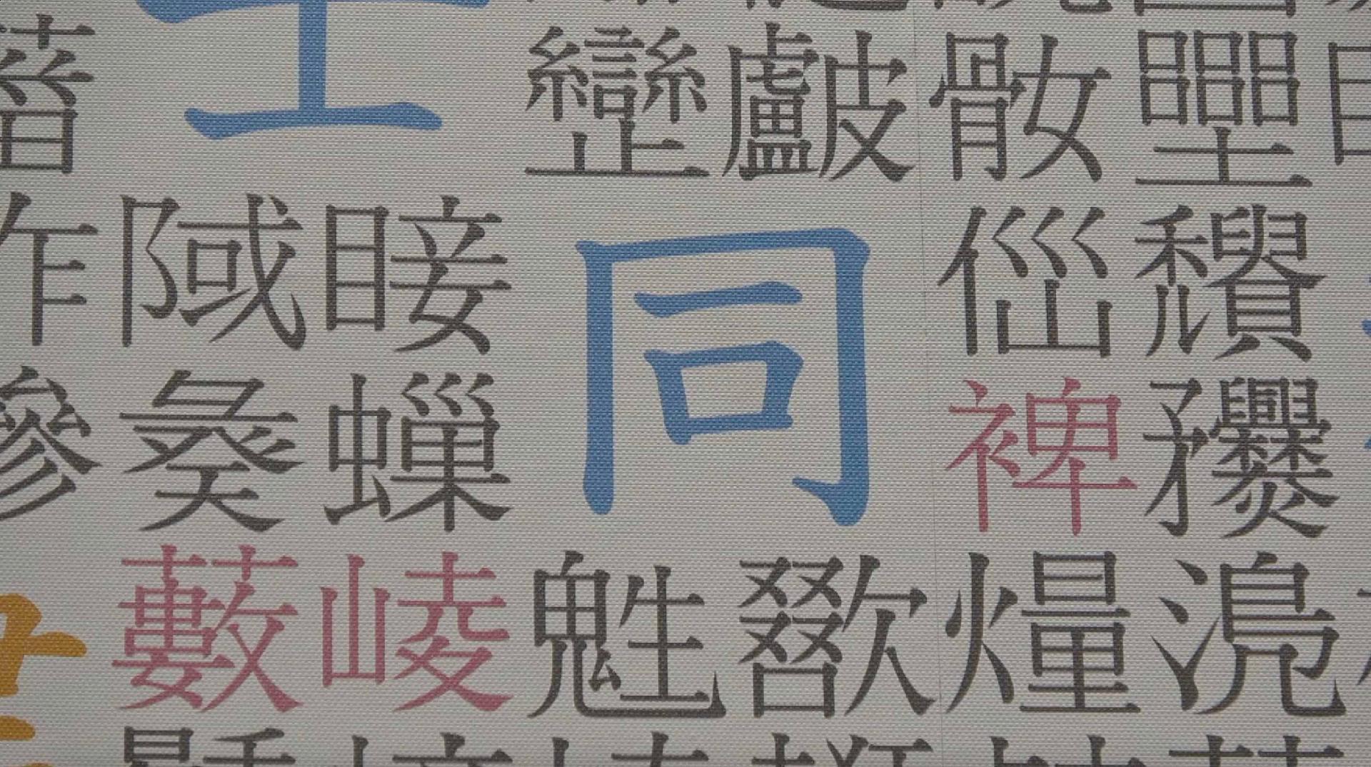 Kyoto's Kanji Museum promotes understanding of Japanese characters - CGTN