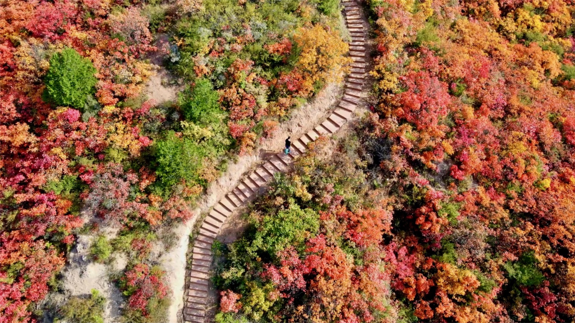 Mountains lit up by red-leaved trees in north China - CGTN