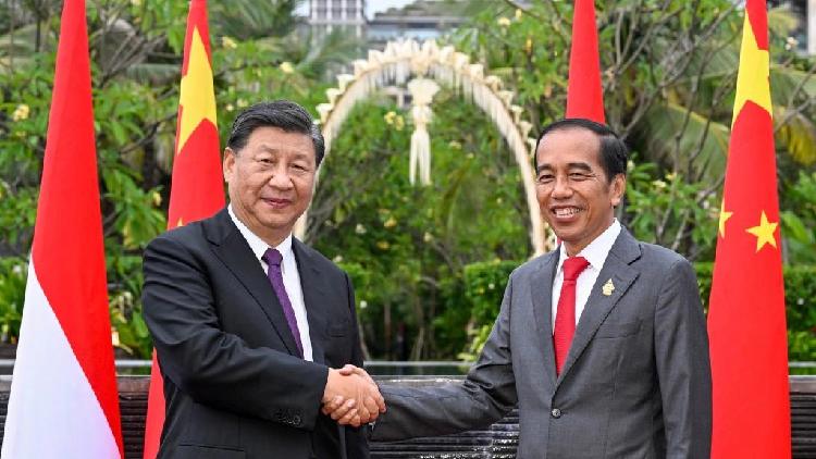 Xi: China-Indonesia Cooperation Sets Example For Developing Countries ...