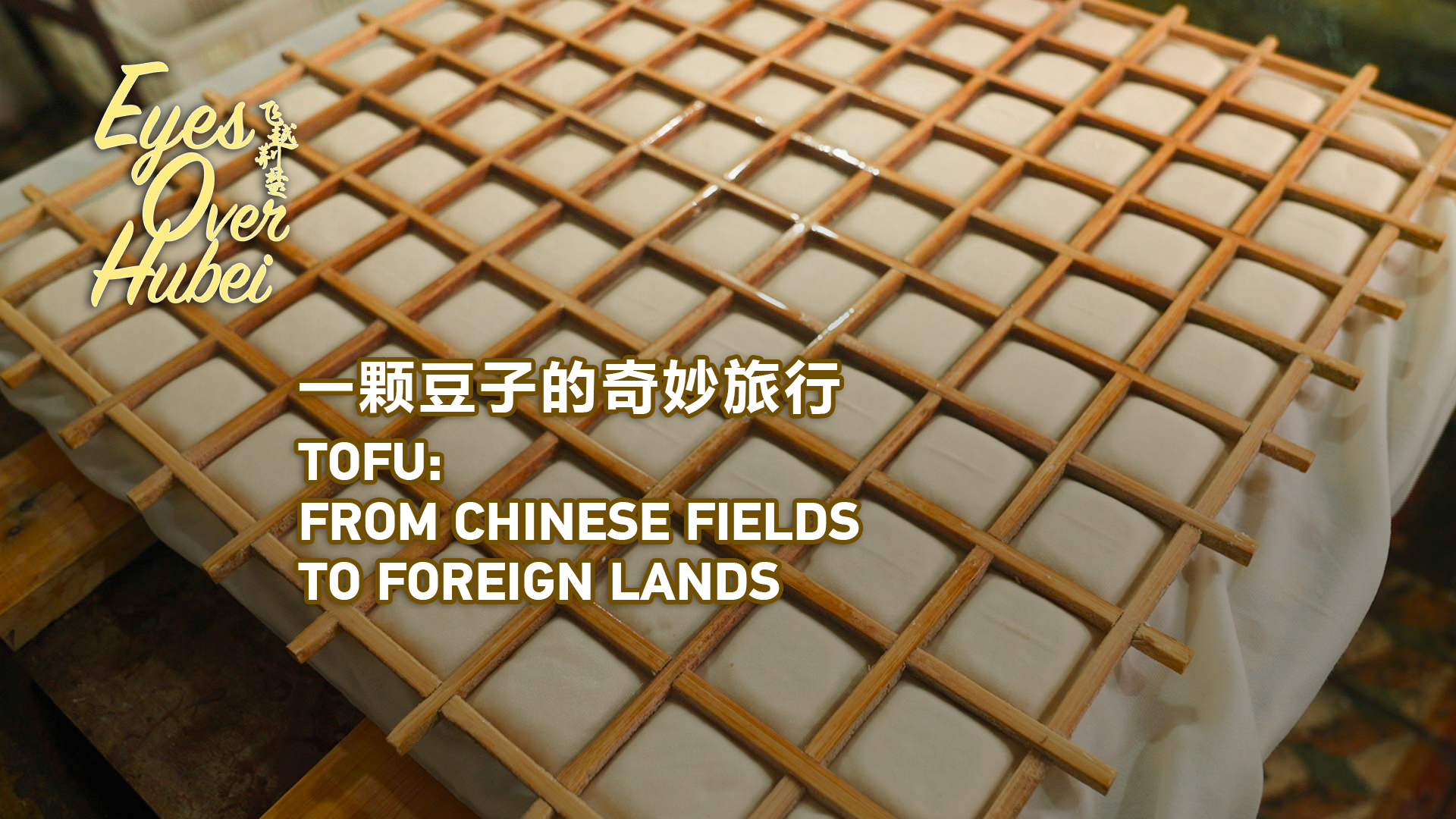 Eyes Over Hubei: Tofu: From Chinese fields to foreign lands