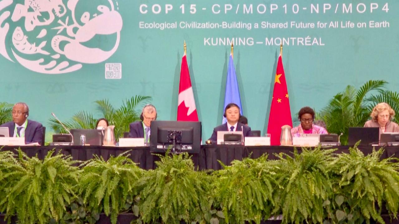 Kunming-Montreal Global Biodiversity Framework Adopted At COP15 - CGTN