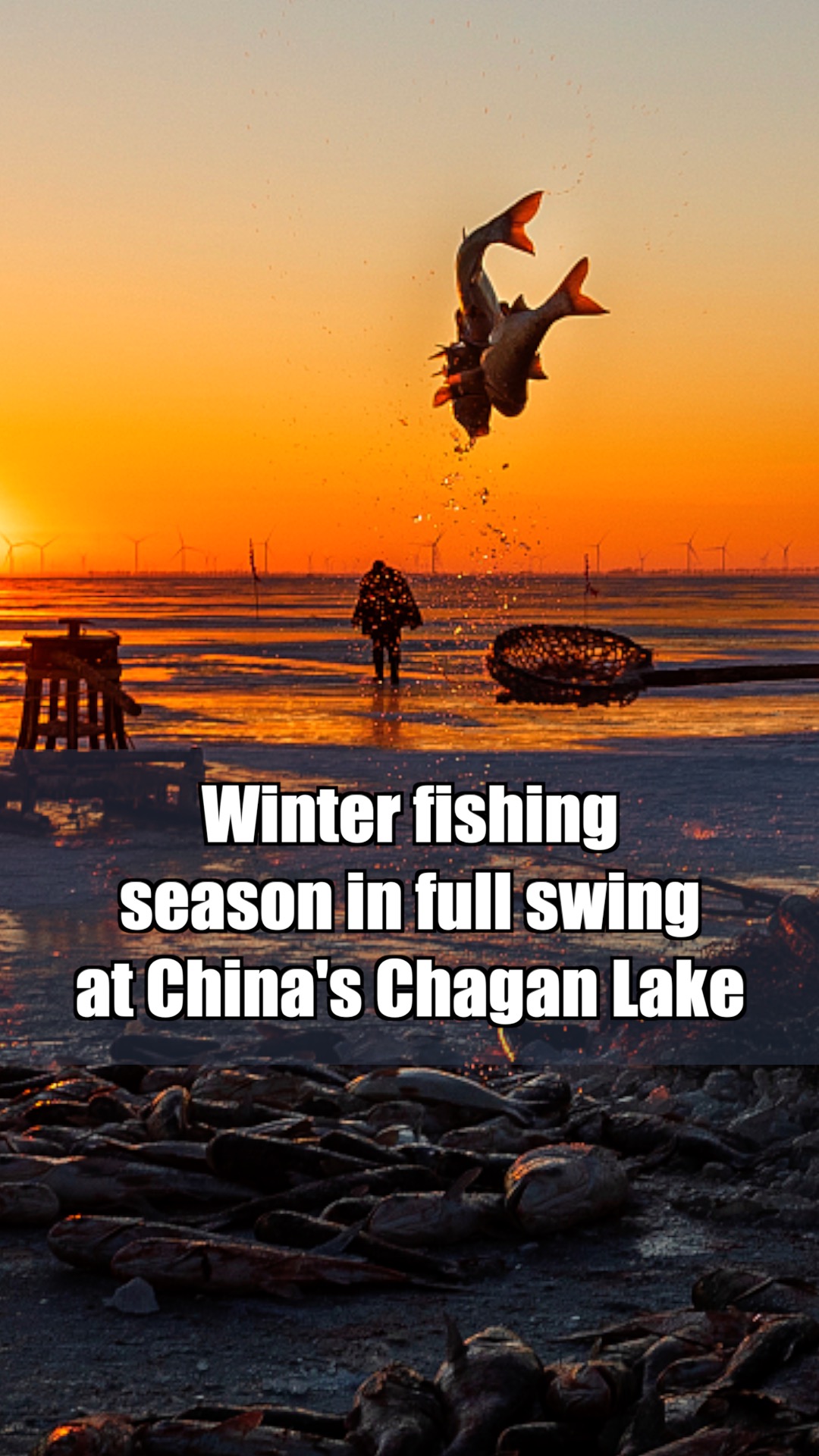 Winter fishing season in full swing at China's Chagan Lake CGTN
