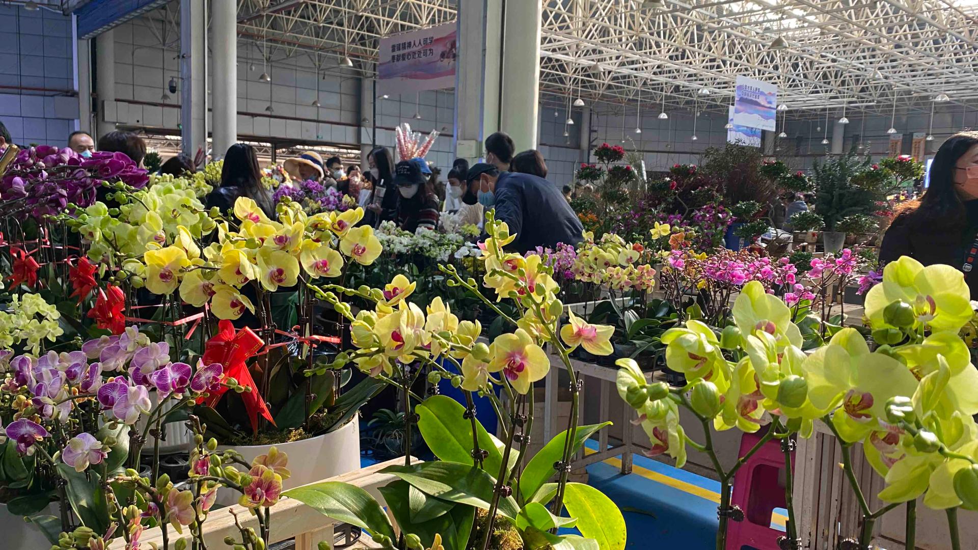 Flower markets embrace sales boom ahead of Chinese New Year CGTN