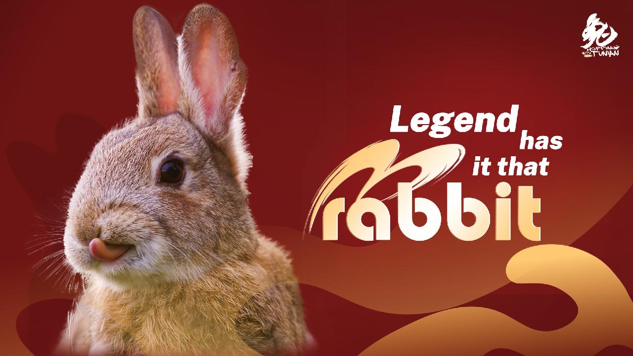 Hopping into Tunian: Legend has it that rabbits are... - CGTN