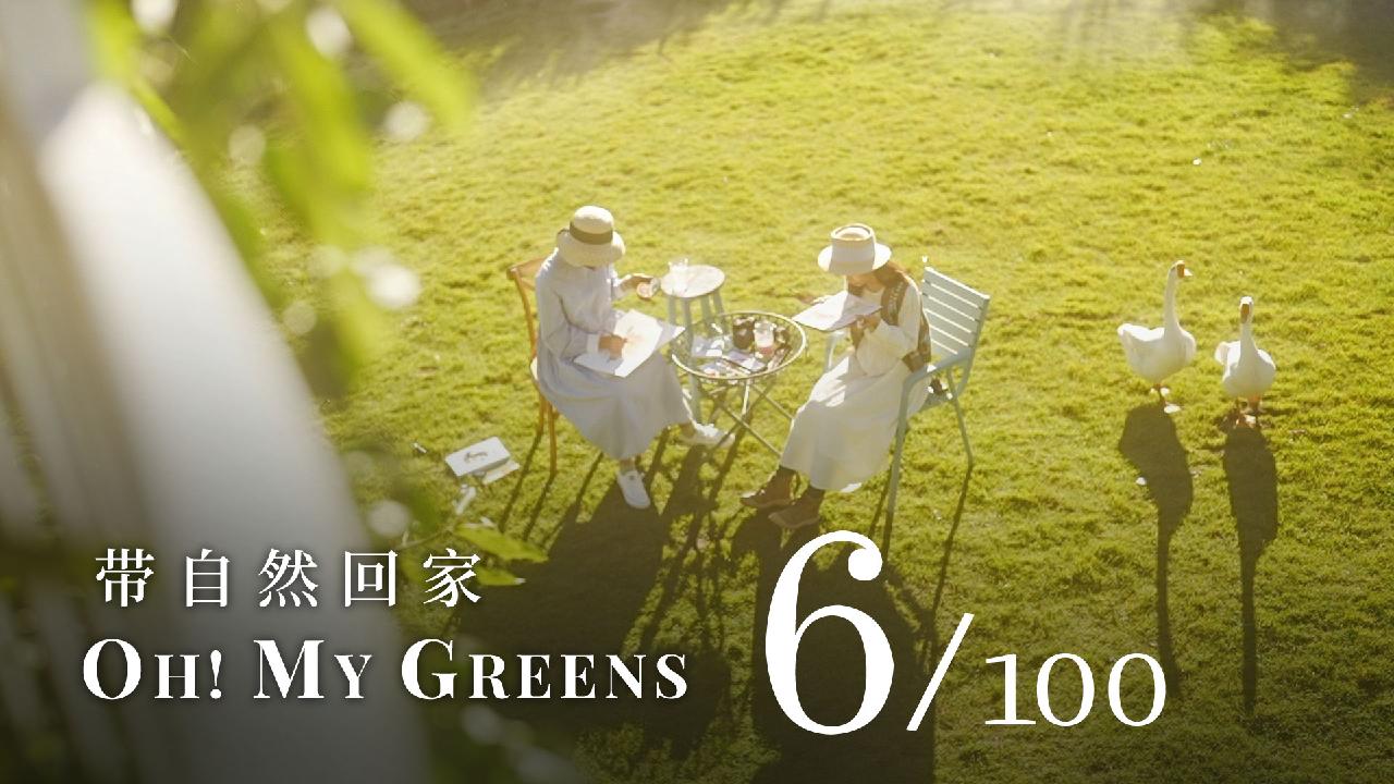 'Oh! My Greens' Ep. 6 An illustrator's fairytalelike wonderland CGTN