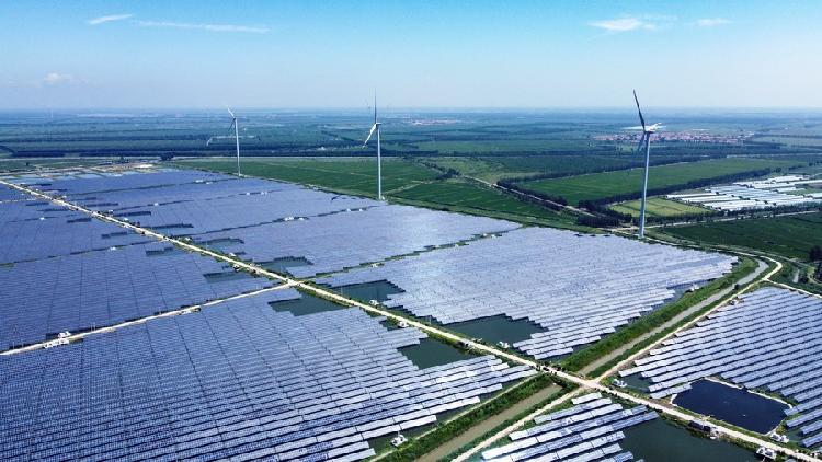 China Goes Green
