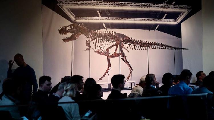 Terminator Rex Skeleton T. rex skeleton sells for $6.1 million at auction in Switzerland - CGTN