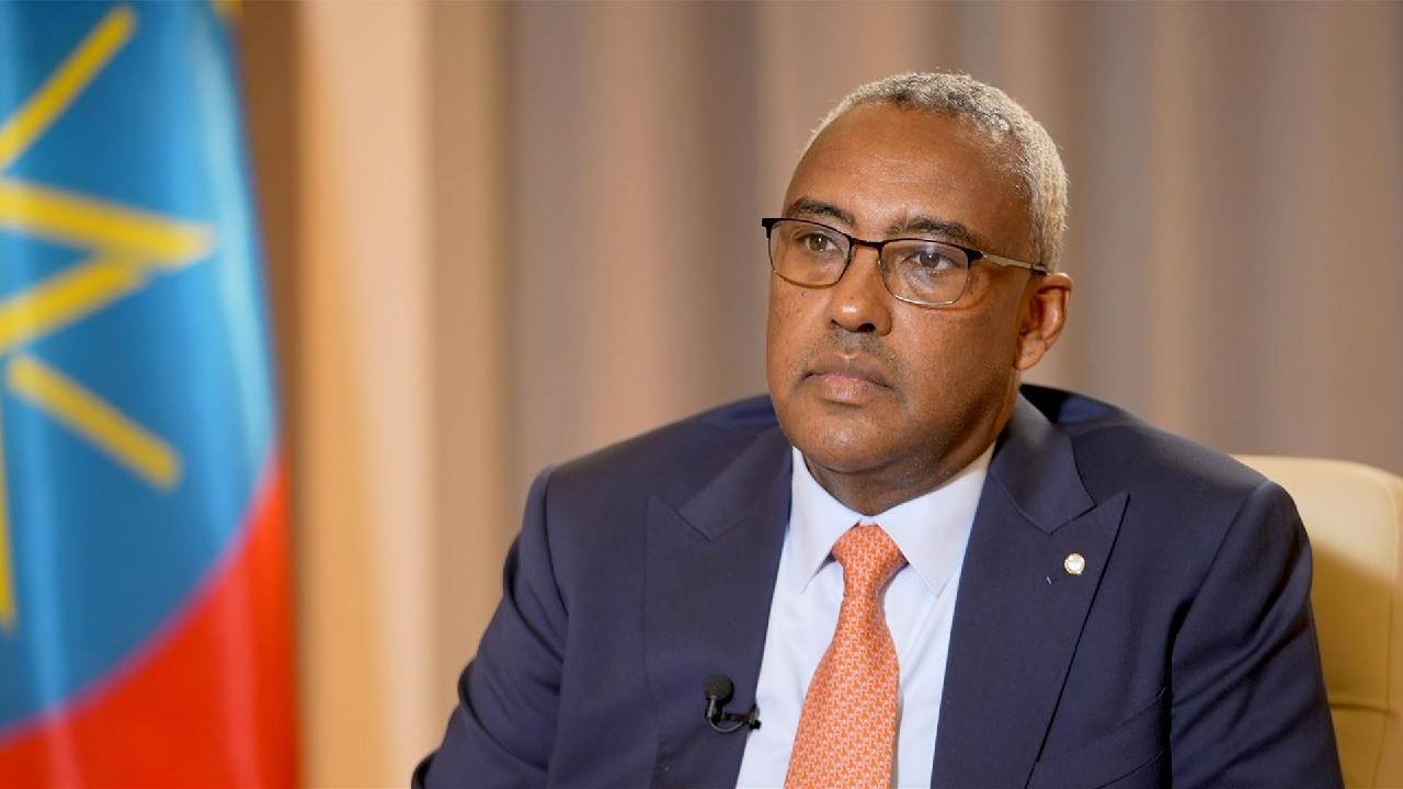 Exclusive interview with Ethiopian Deputy PM and FM Demeke Mekonnen