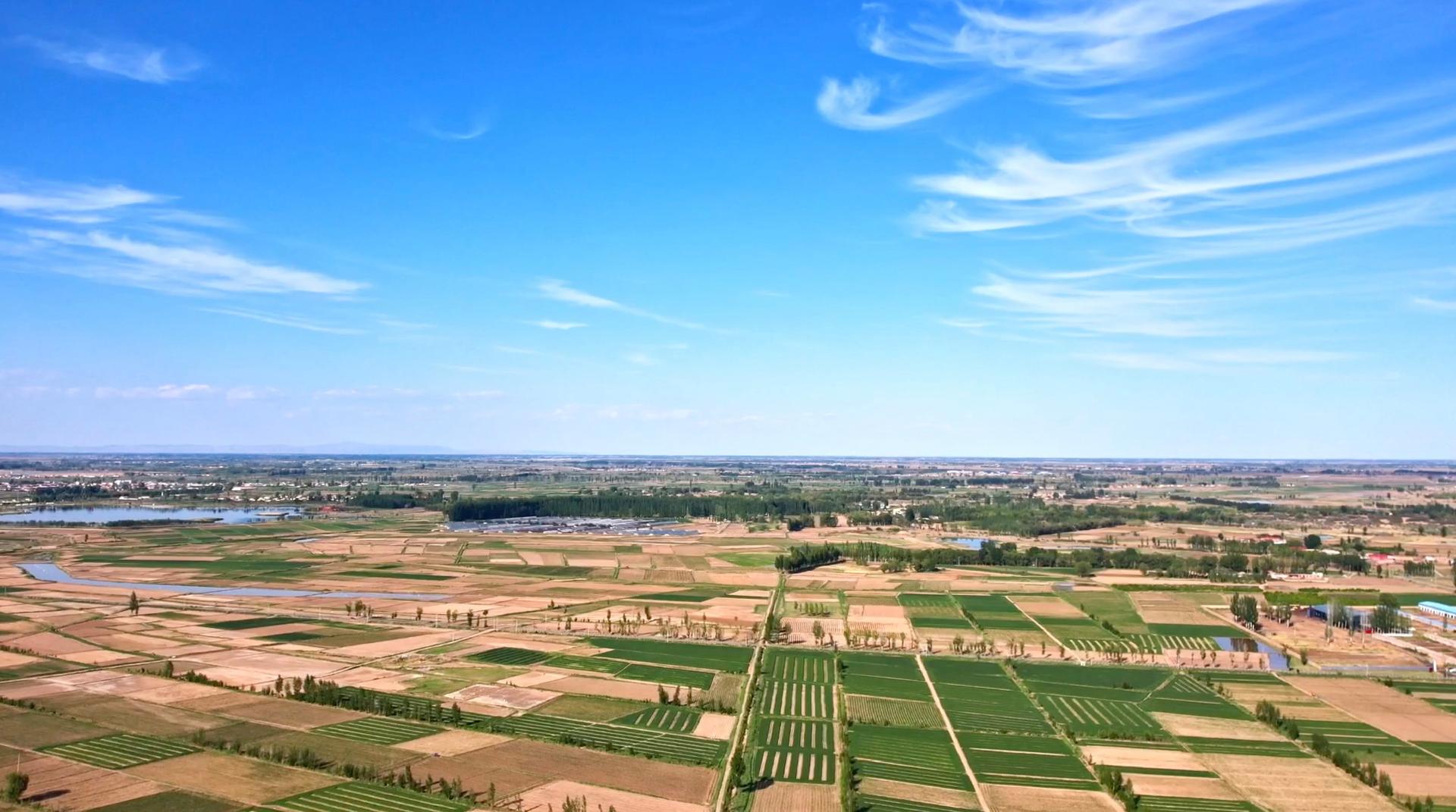 Xi commends practices of putting salinealkali lands to good use CGTN