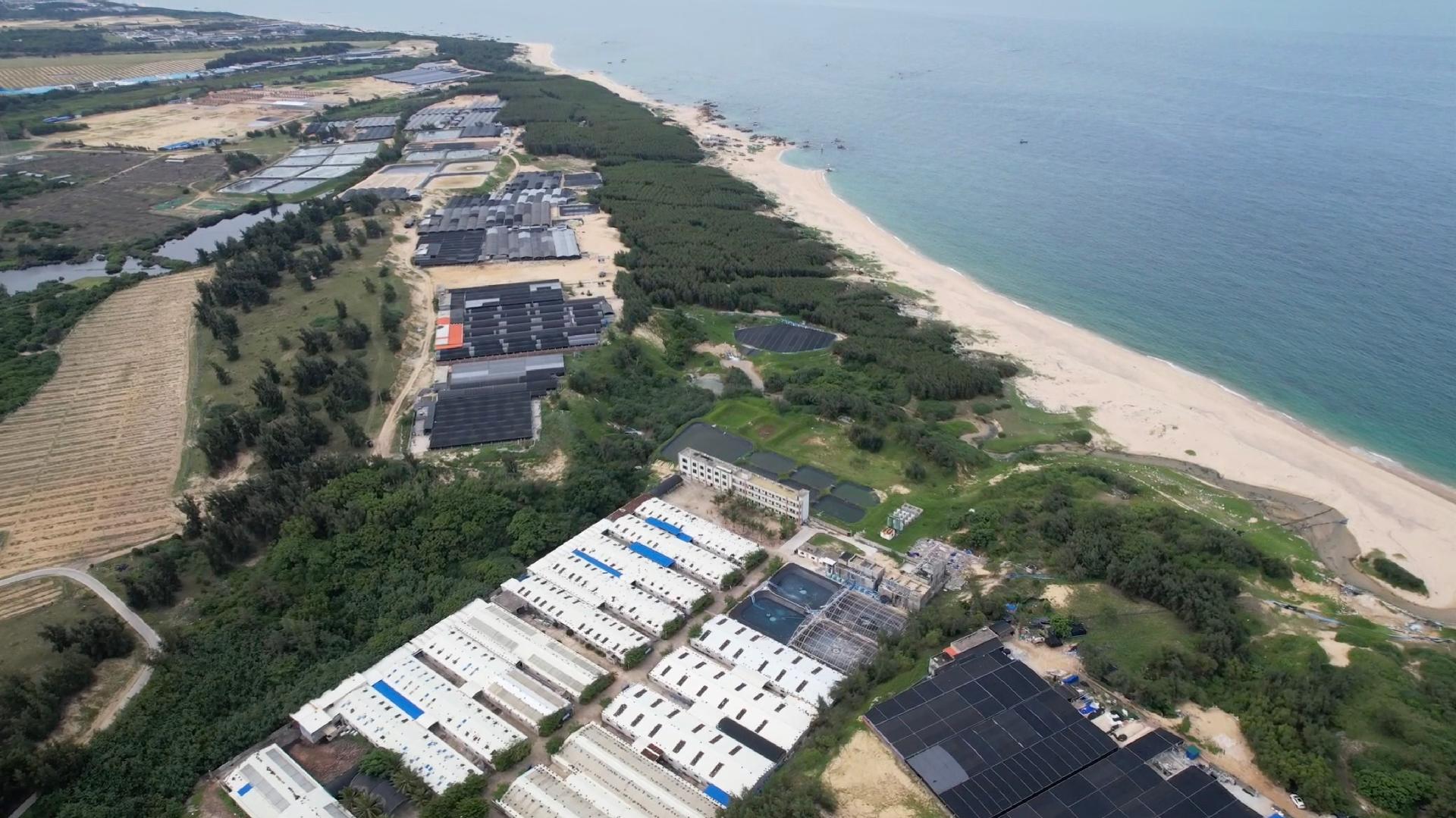 Aquaculture Breeding Creates Opportunities For Fisheries In Hainan Cgtn