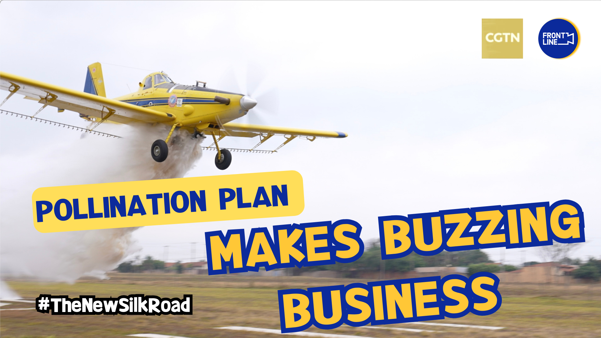 Pollination plan makes buzzing business