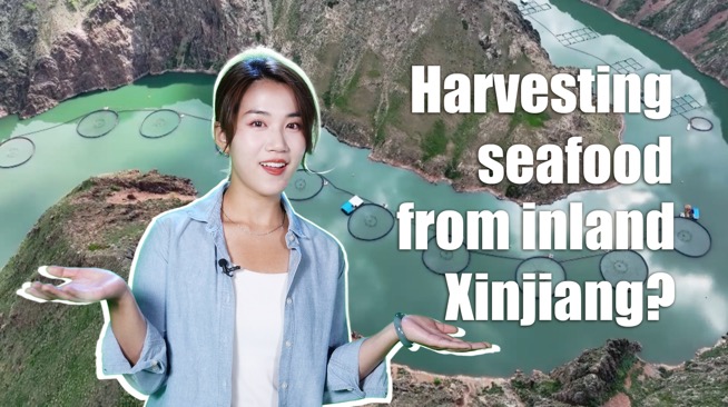 Tech Please: Harvesting seafood from inland Xinjiang? Here's how
